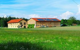Niedergerner Alpaka Ranch